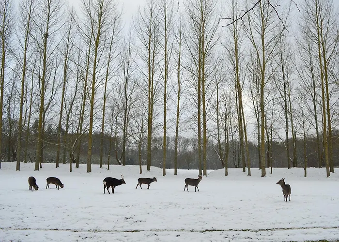 Deer Cottage 1 Uk39330