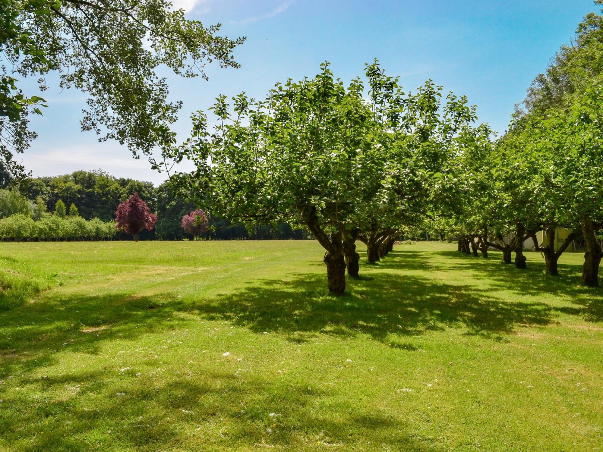 Holiday home Deer 1 Uk39330 Biddenden
