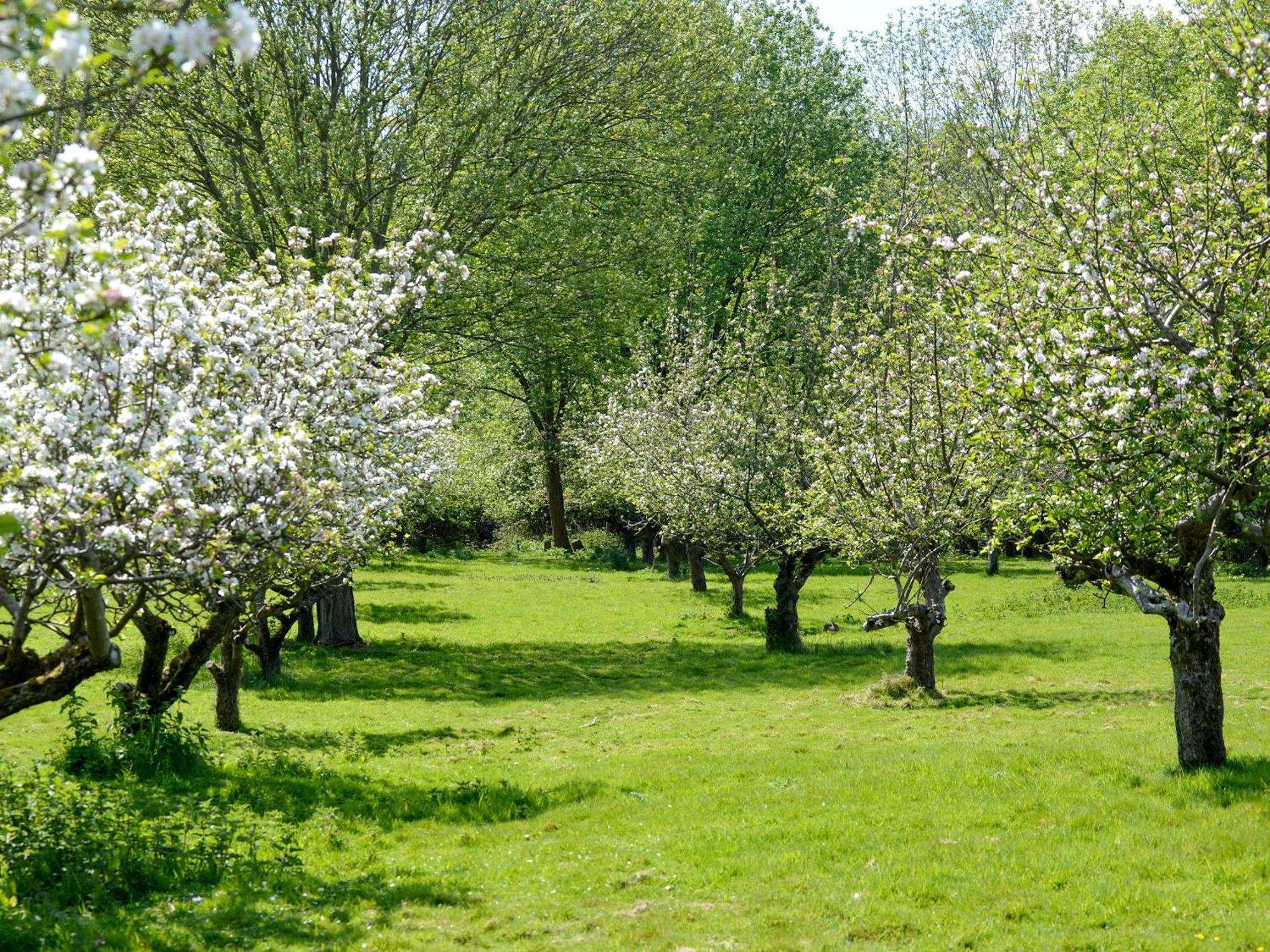 Holiday home Deer 1 Uk39330