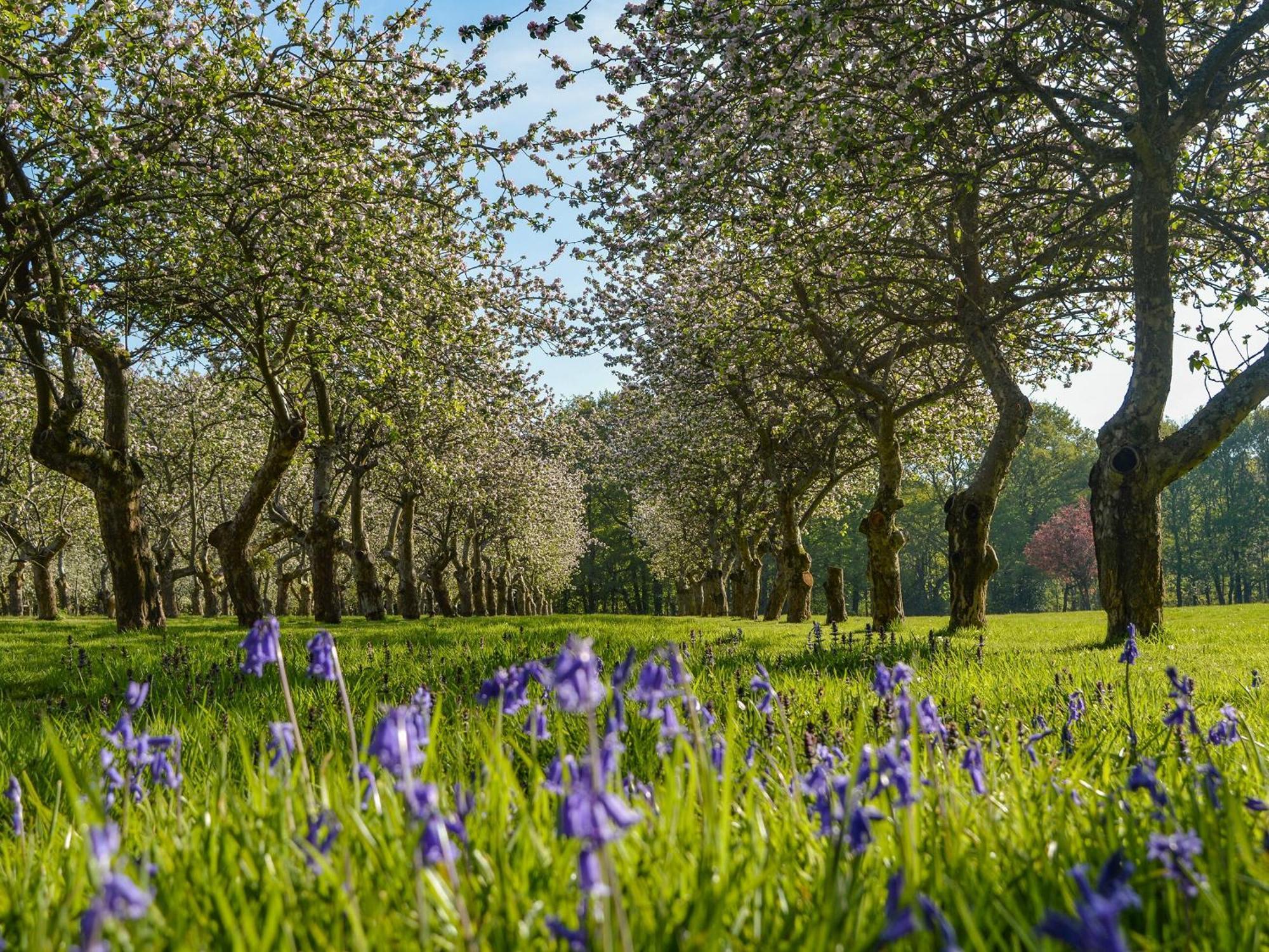 Holiday home Deer 1 Uk39330 Biddenden