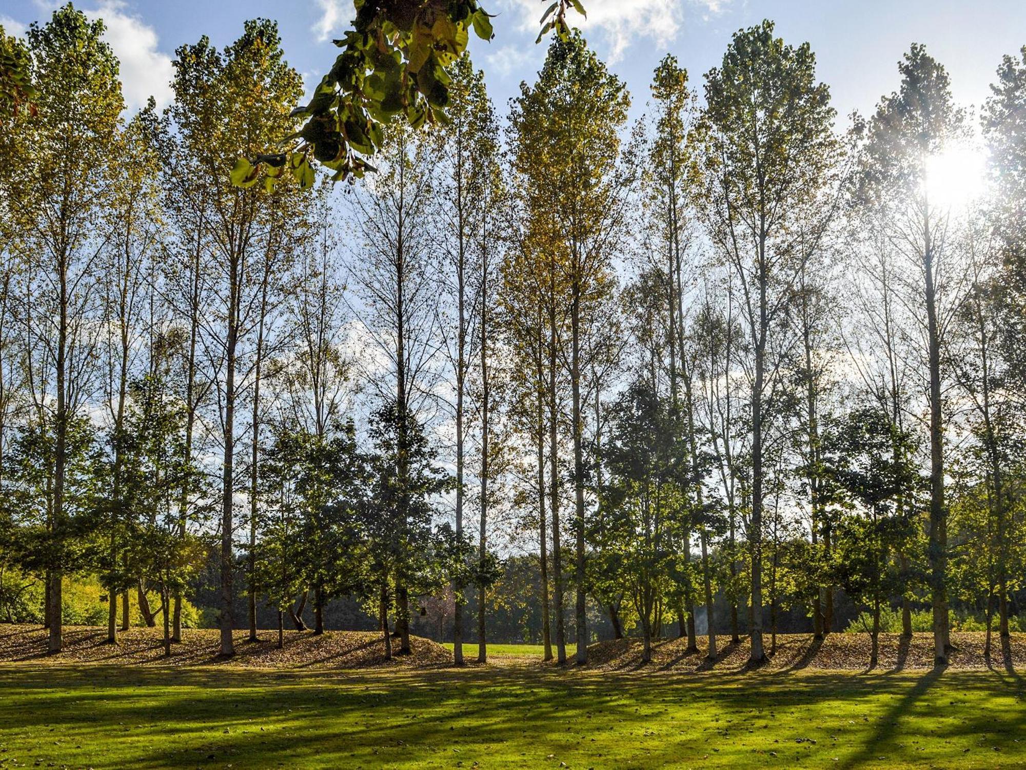 Deer 1 Uk39330 Holiday home Biddenden